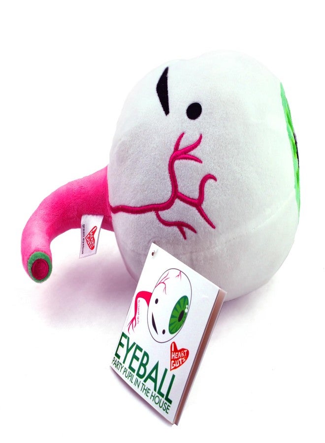 أي هارت جاتس دمية عين محشوة على شكل قلب - هدية مثالية لحفلات الأطفال! - دمية محشوة على شكل أعضاء، مقاس 10 بوصات، هدية رائعة لأطباء العيون، هدية مثالية لطلاب البصريات والأطباء وجراحي العيون (قزحية خضراء) - Image 5